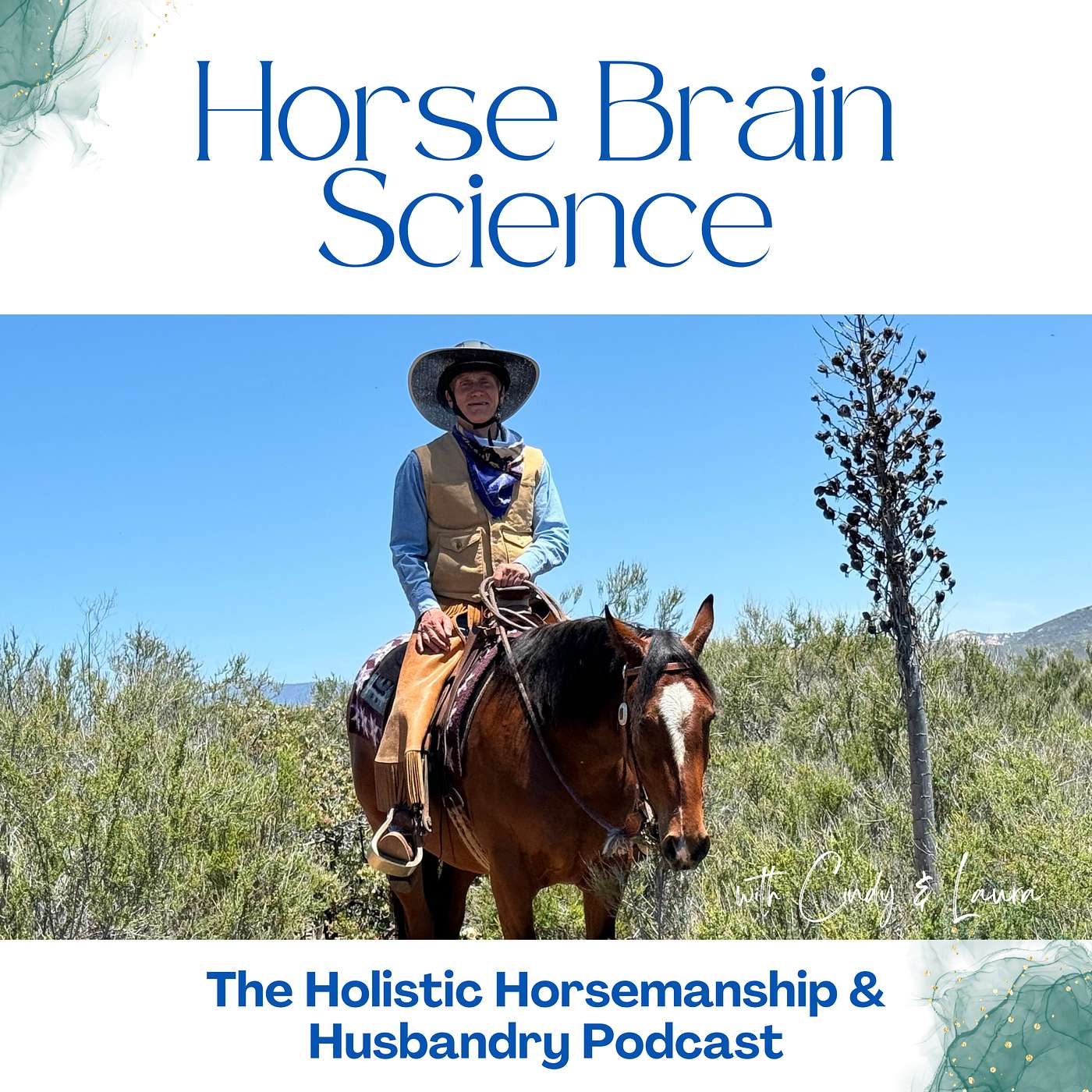 The Holistic Horsemanship and Husbandry Podcast