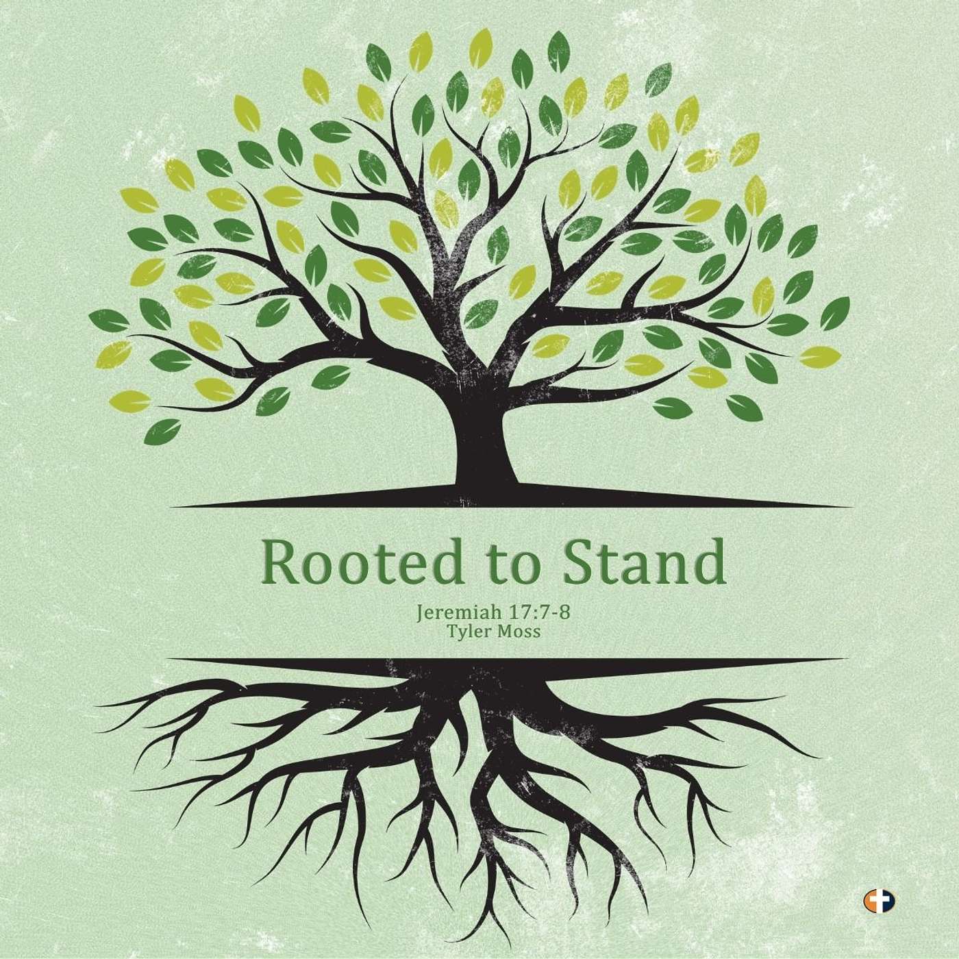 “Rooted to Stand” | Sunday AM | Tyler Moss episode artwork