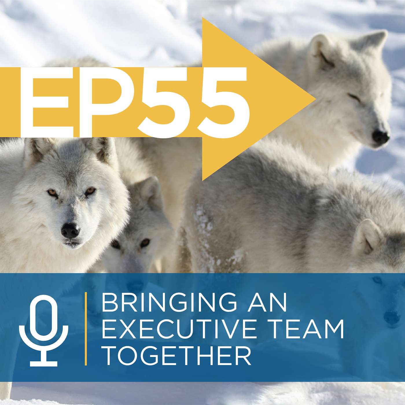 Bringing an Executive Team Together