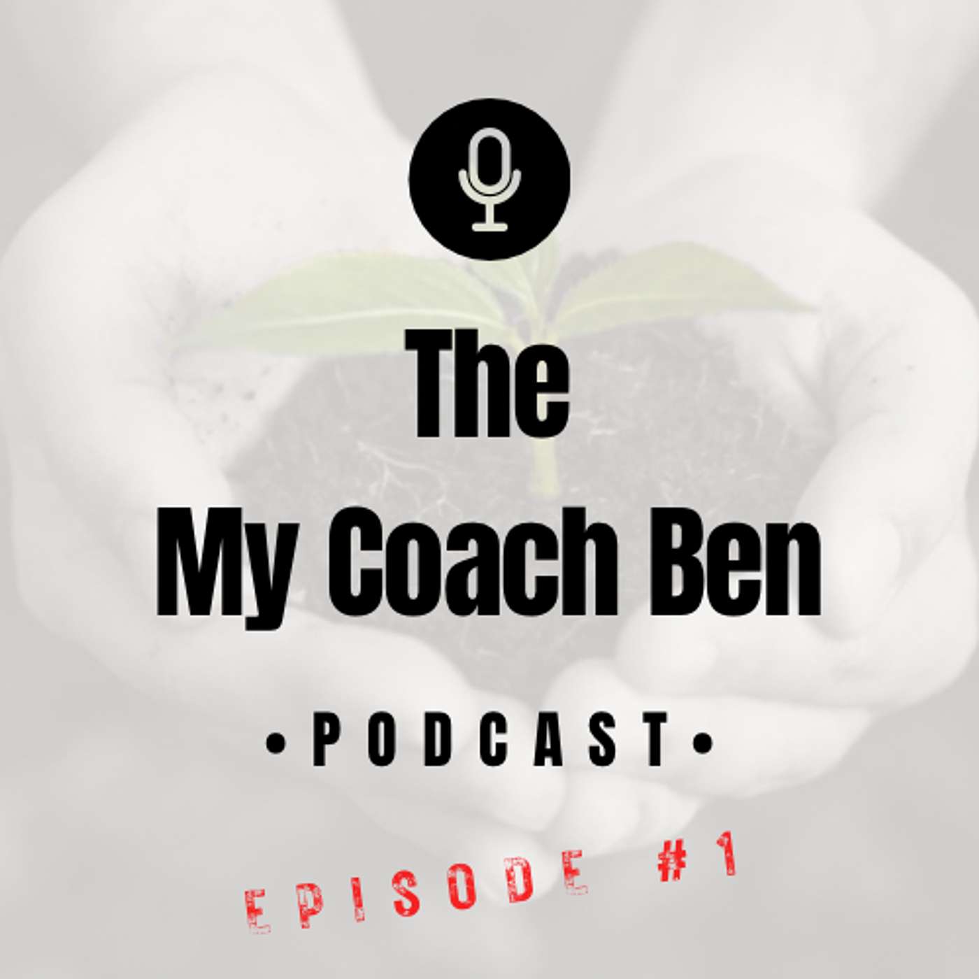 Accountability - The Career Growth A to Z episode artwork