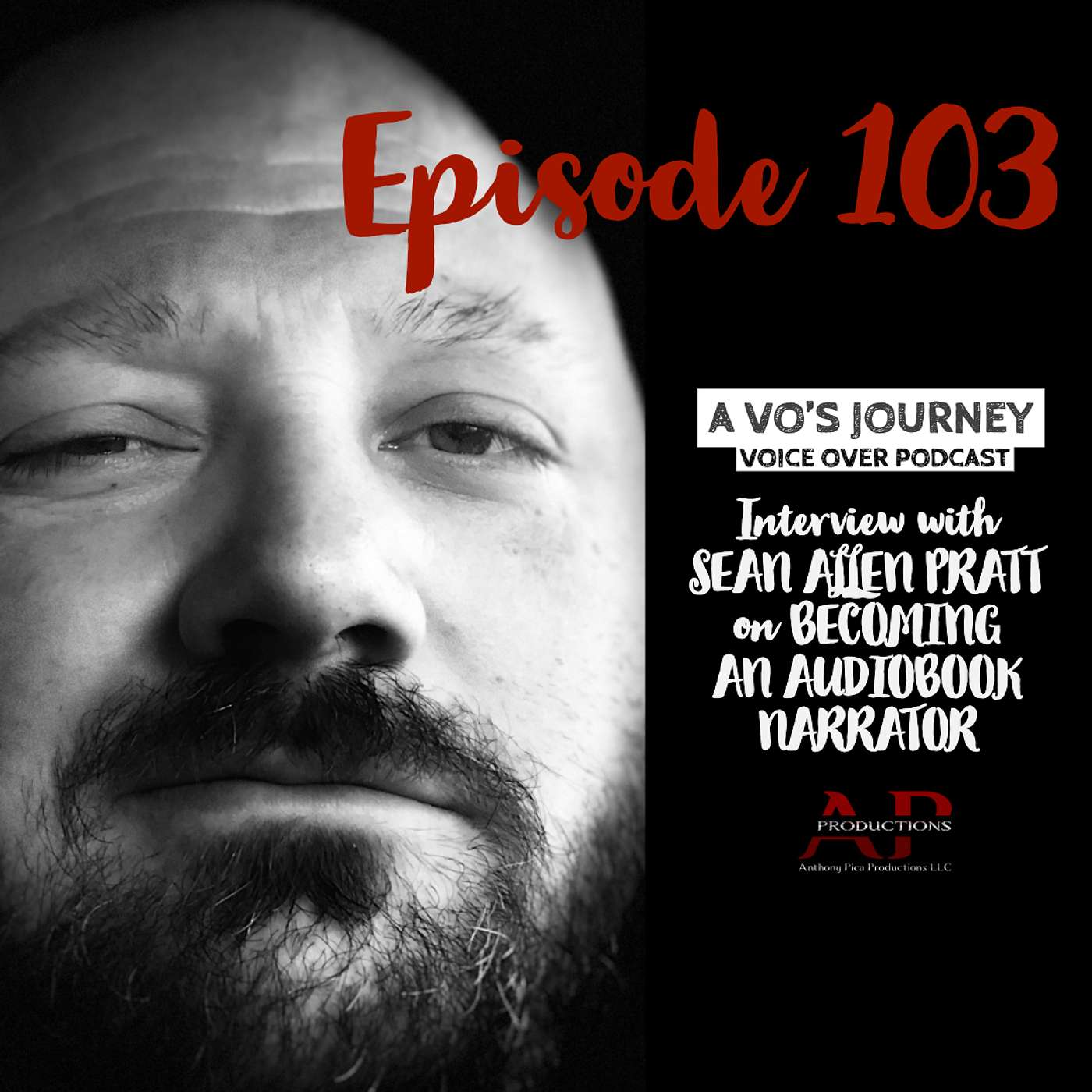 A VO\'s Journey: Voiceover and more voice over