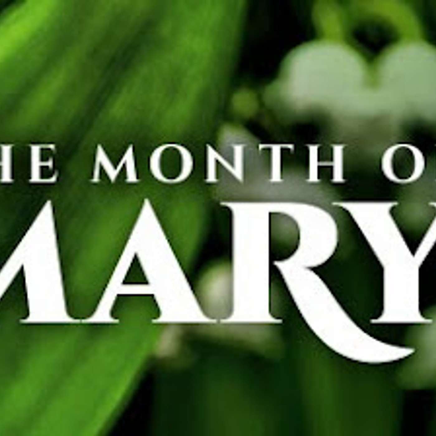 May: the month of Mary - 10 May 2015 (S05E25b) (SS102fm podcast excerpt) episode artwork
