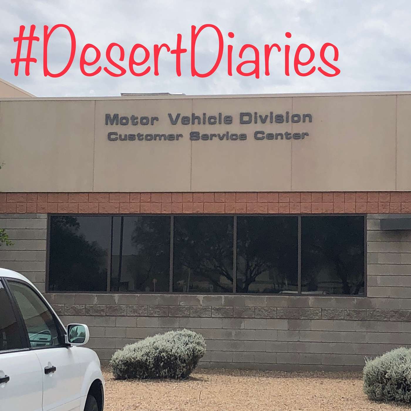 Week eighteen: I can drive, but have to leave Arizona