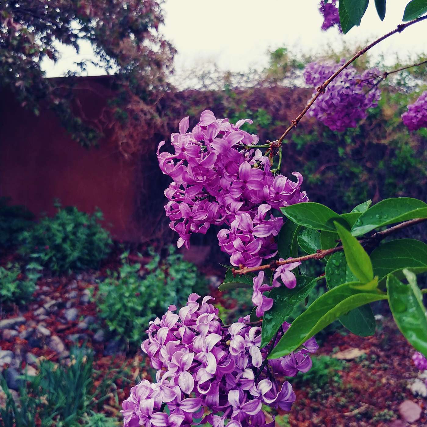 First Cup of Coffee - May 10, 2019