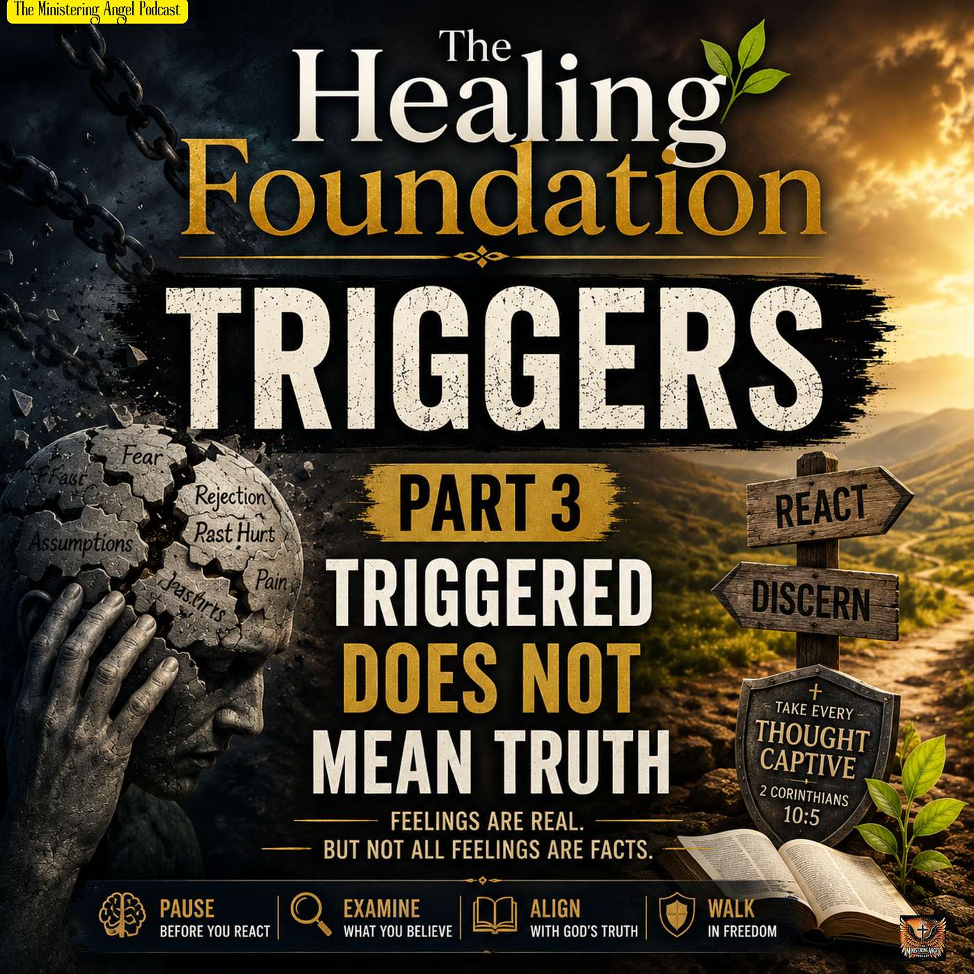 The Healing Foundation: Triggers  Part 3: Triggered Does Not Mean Truth episode artwork