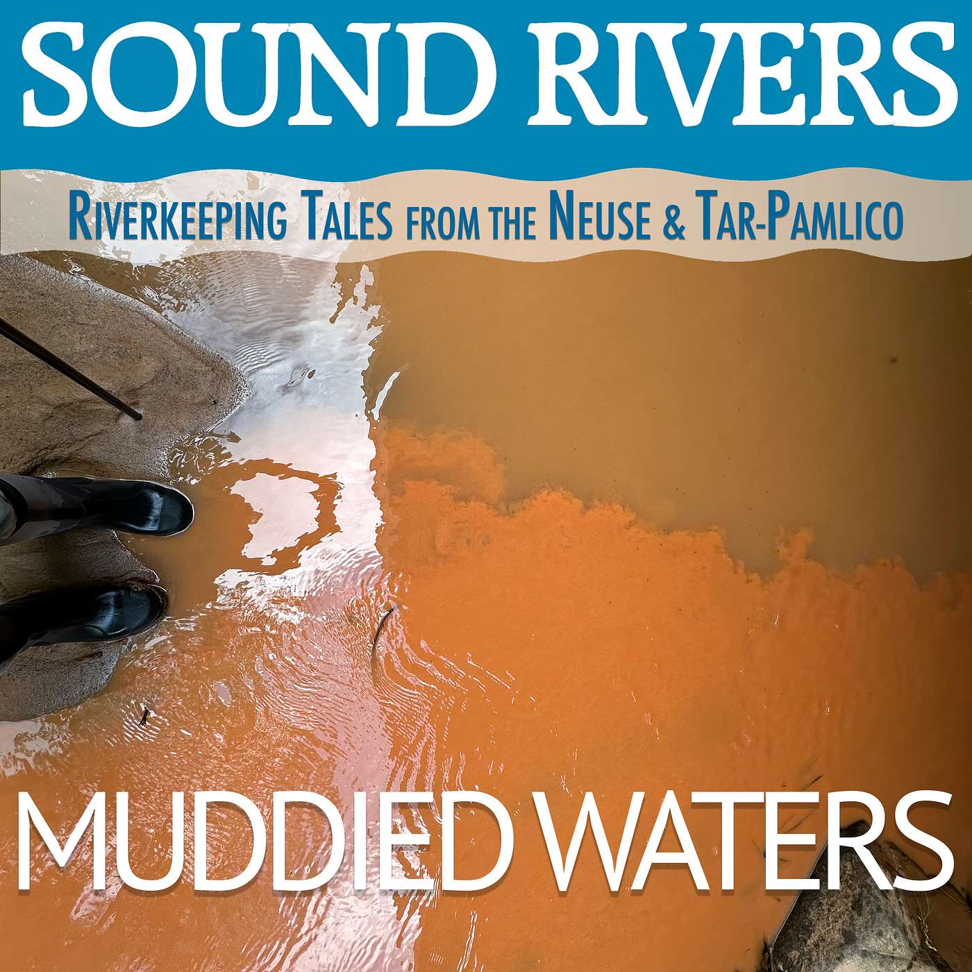 Muddied Waters