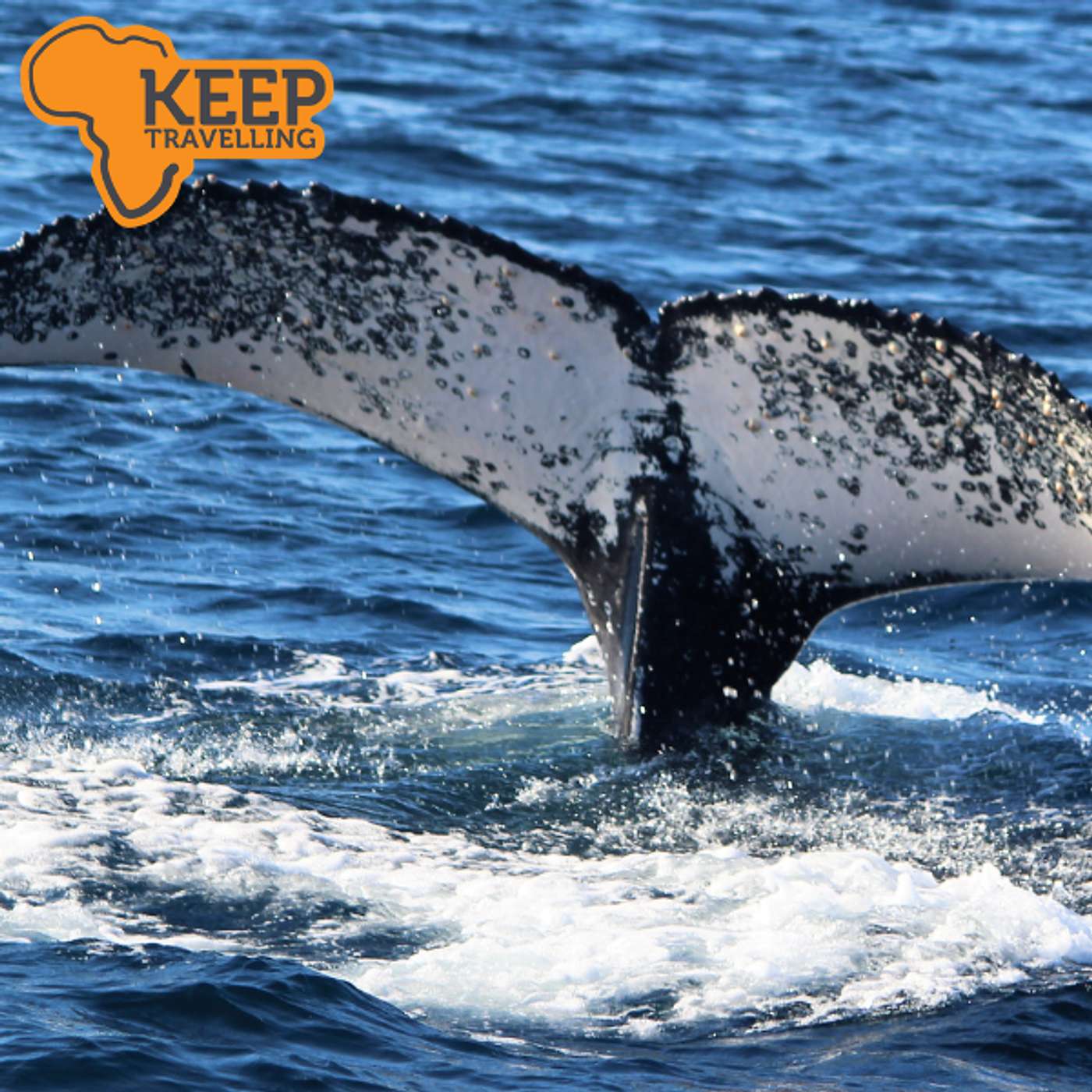 St Francis Bay: The Perfect Garden Route and Safari Escape episode artwork