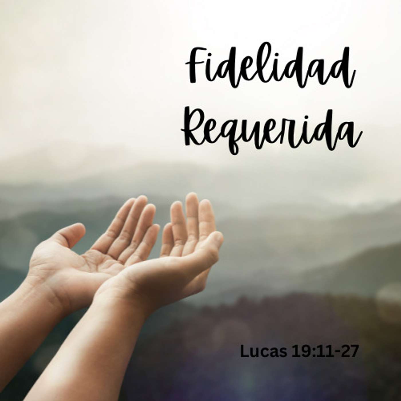 Fidelidad Requerida