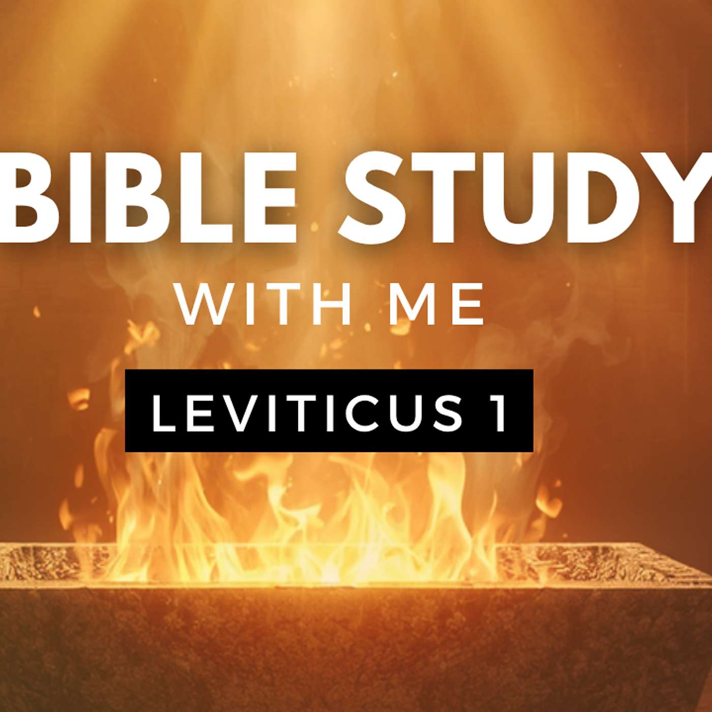 Leviticus 27 | Why Israel's Vows Are STILL Important Today [Bible Study WITH Me] episode artwork
