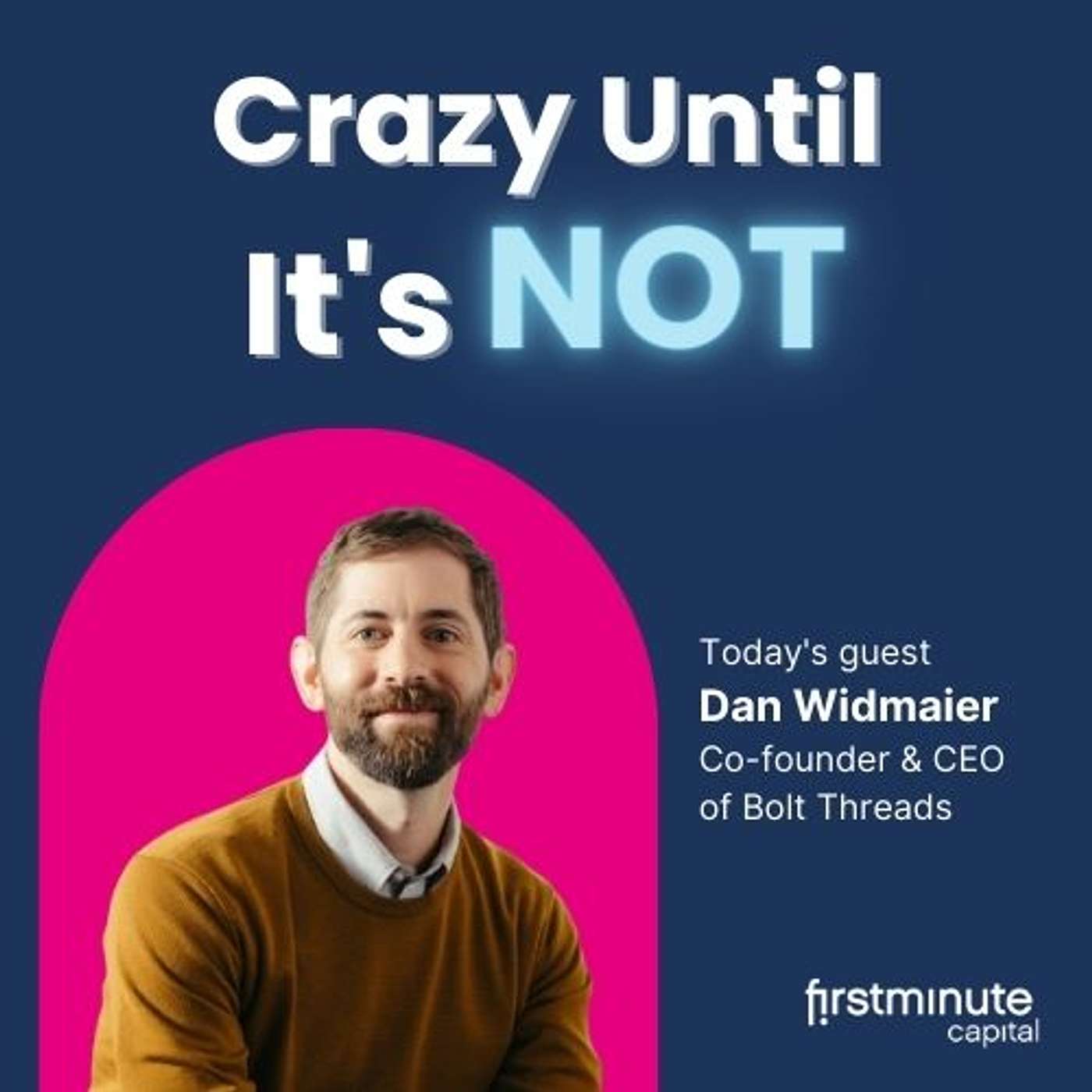 Crazy Until It\'s Not: Startups, Venture Capital & Big Ideas