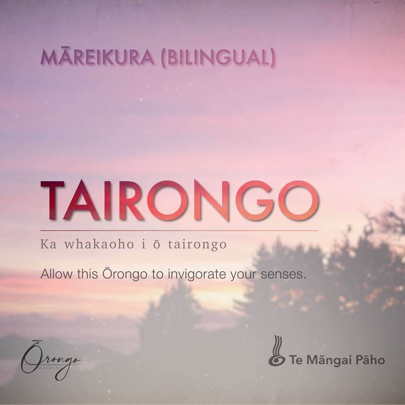 TAIRONGO - Māreikura (Bilingual)