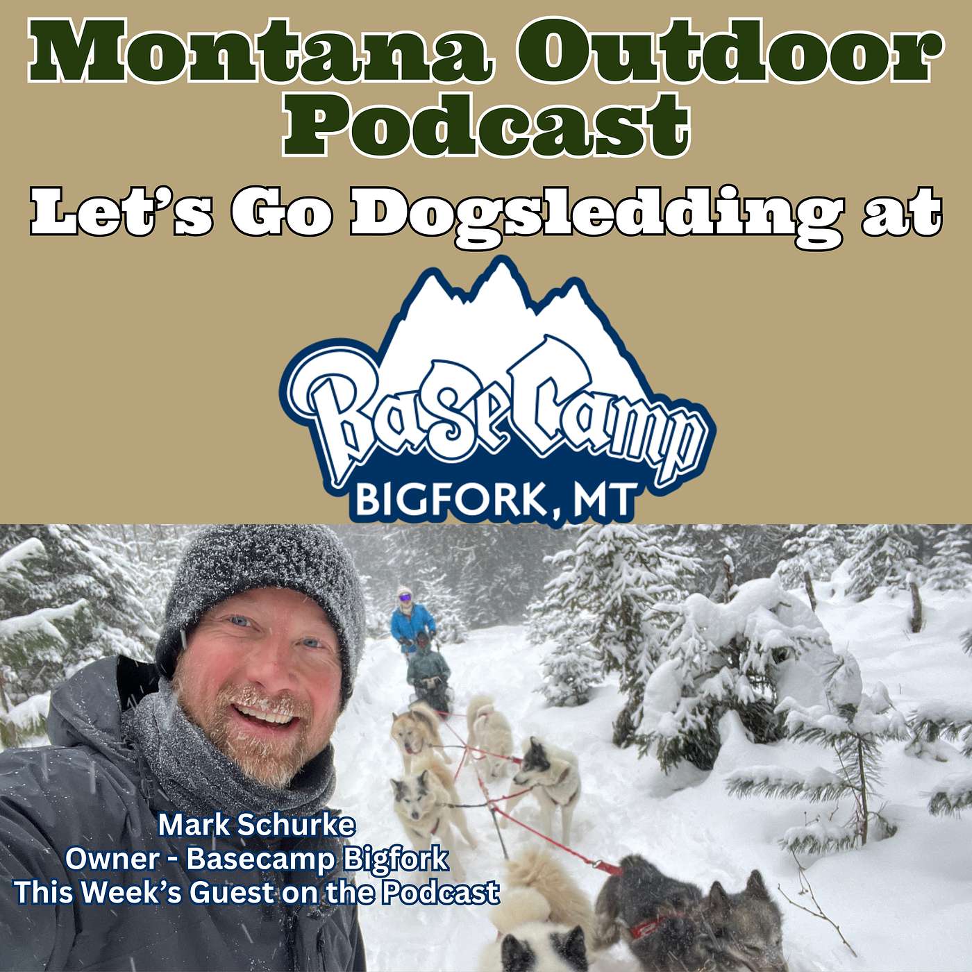 Let's Go Dogsledding! It Just Might Be the Most Fun You Have This Winter!