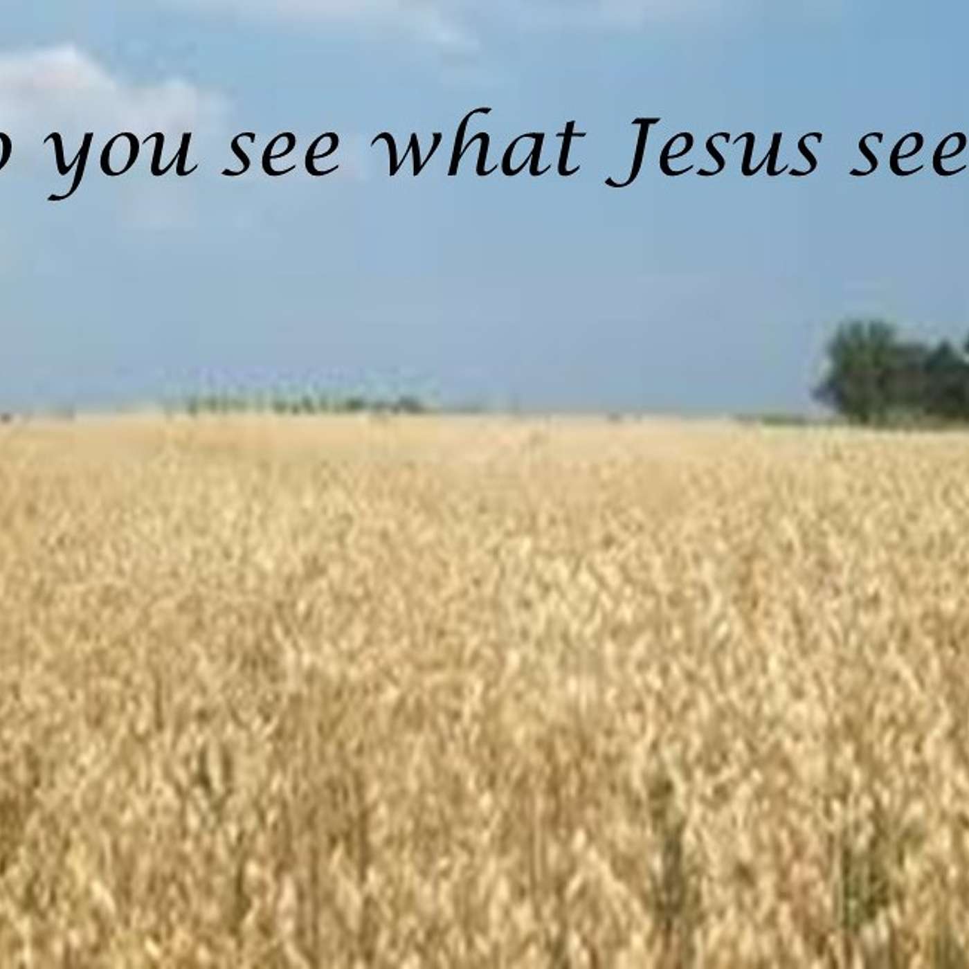Do You See What Jesus Sees? episode artwork