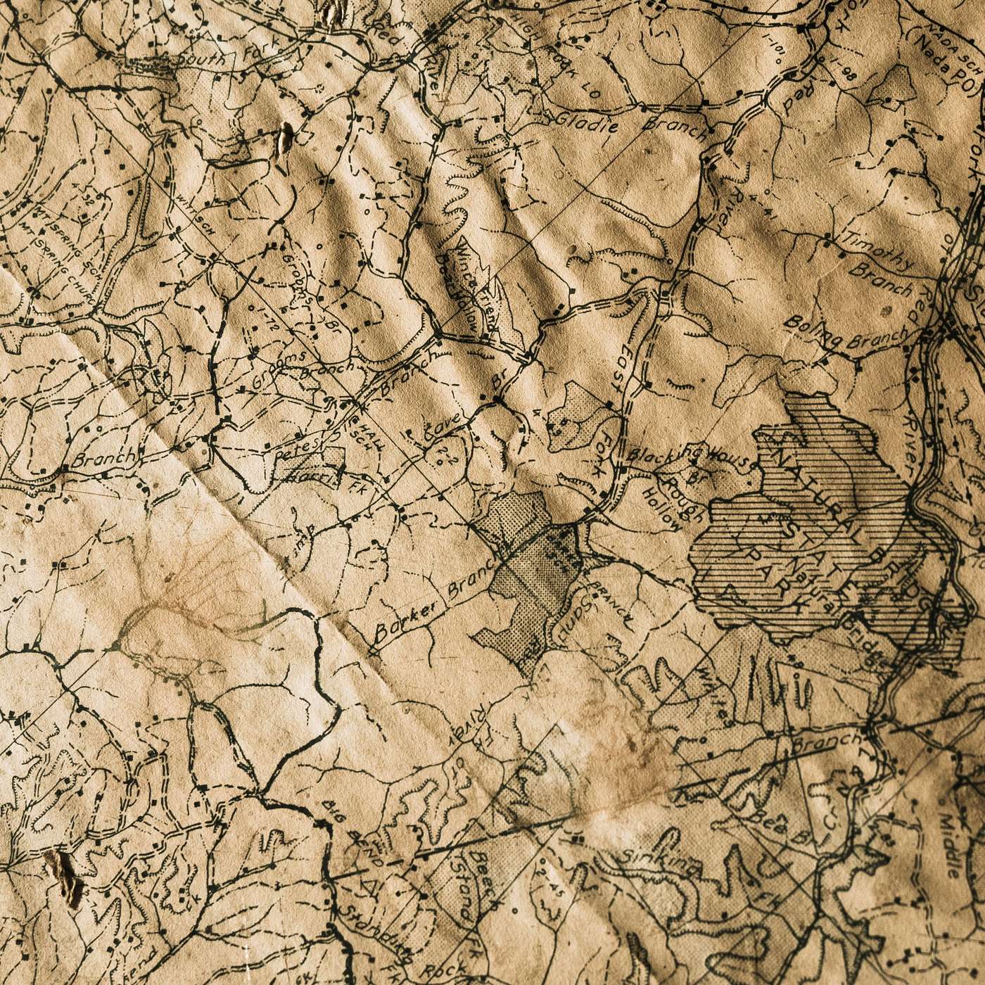 Digital Public Square