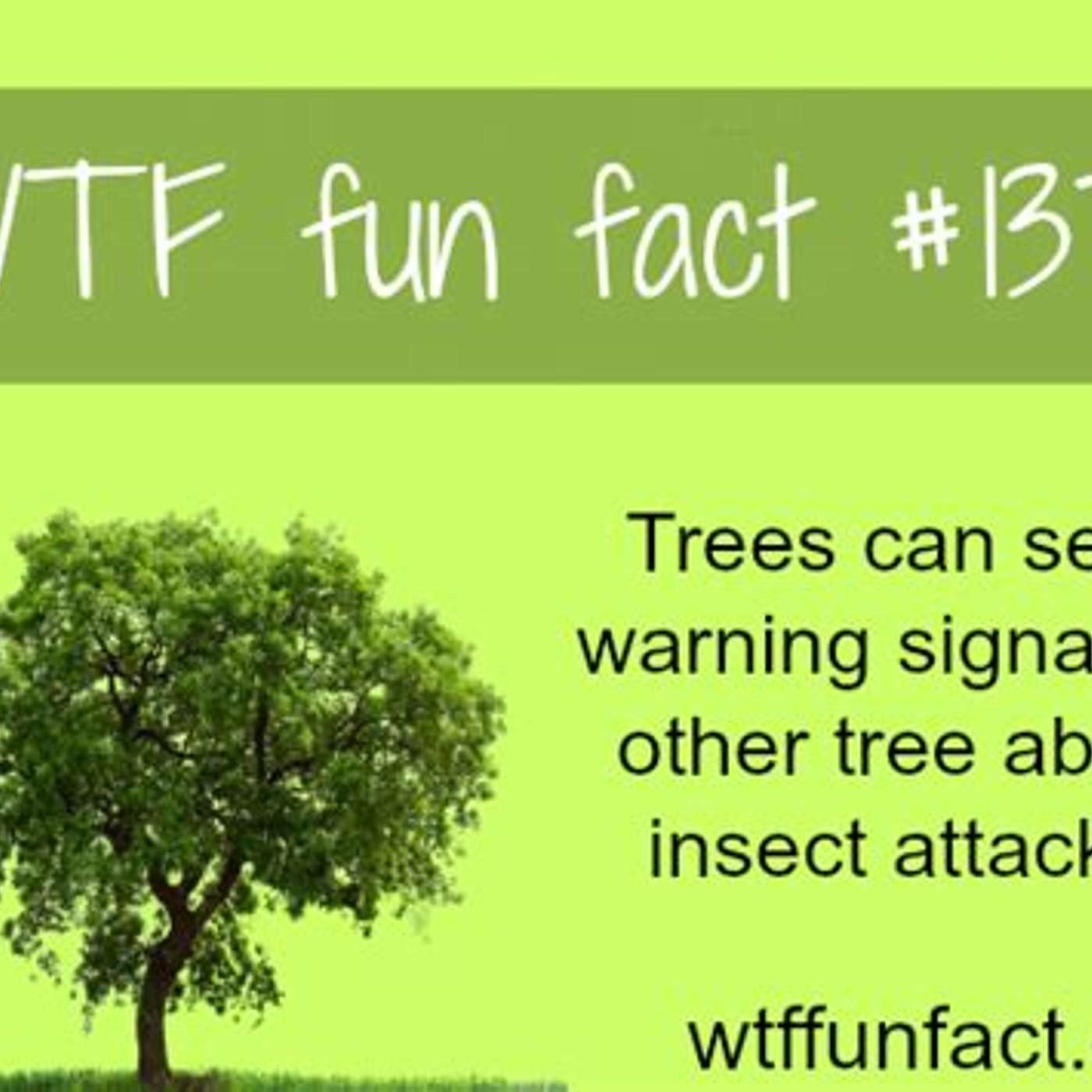 Even more facts to consider...