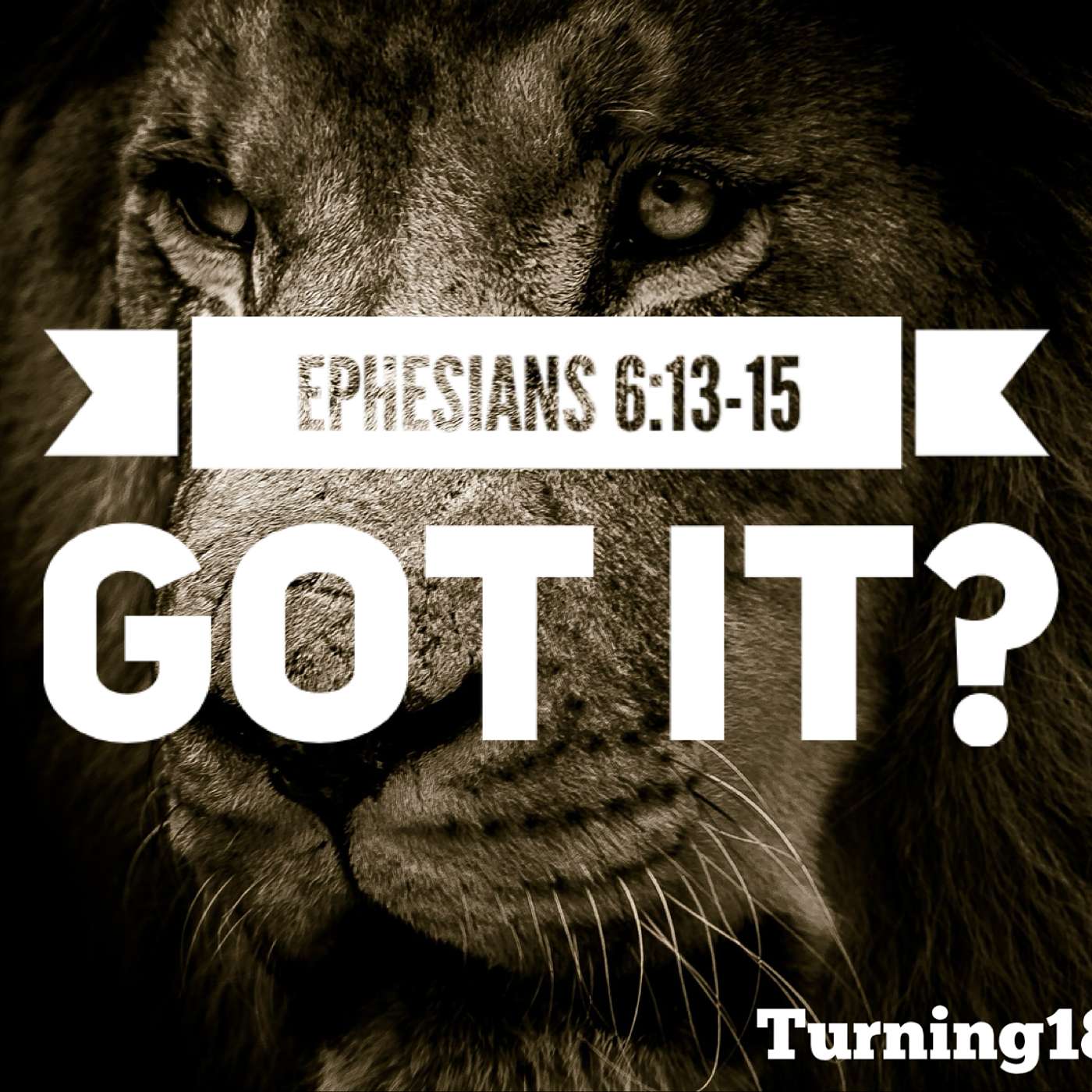 Got It? - NL