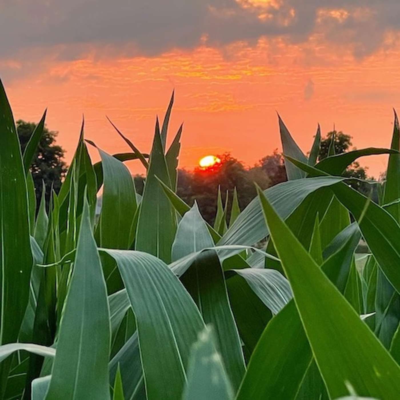 "Didn't see that coming!" | Rev. Dr. Donovan Drake preaching | 08.03.25