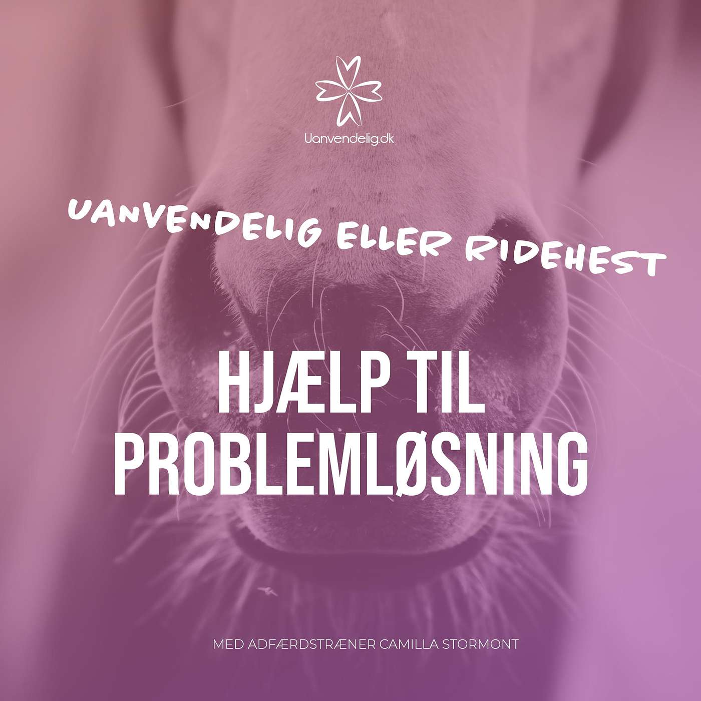Foredrag med Camilla Stormont: Hjælp til problemløsning