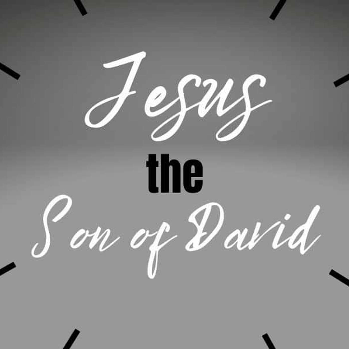Plainfield Ponderings - Scripture Meditations