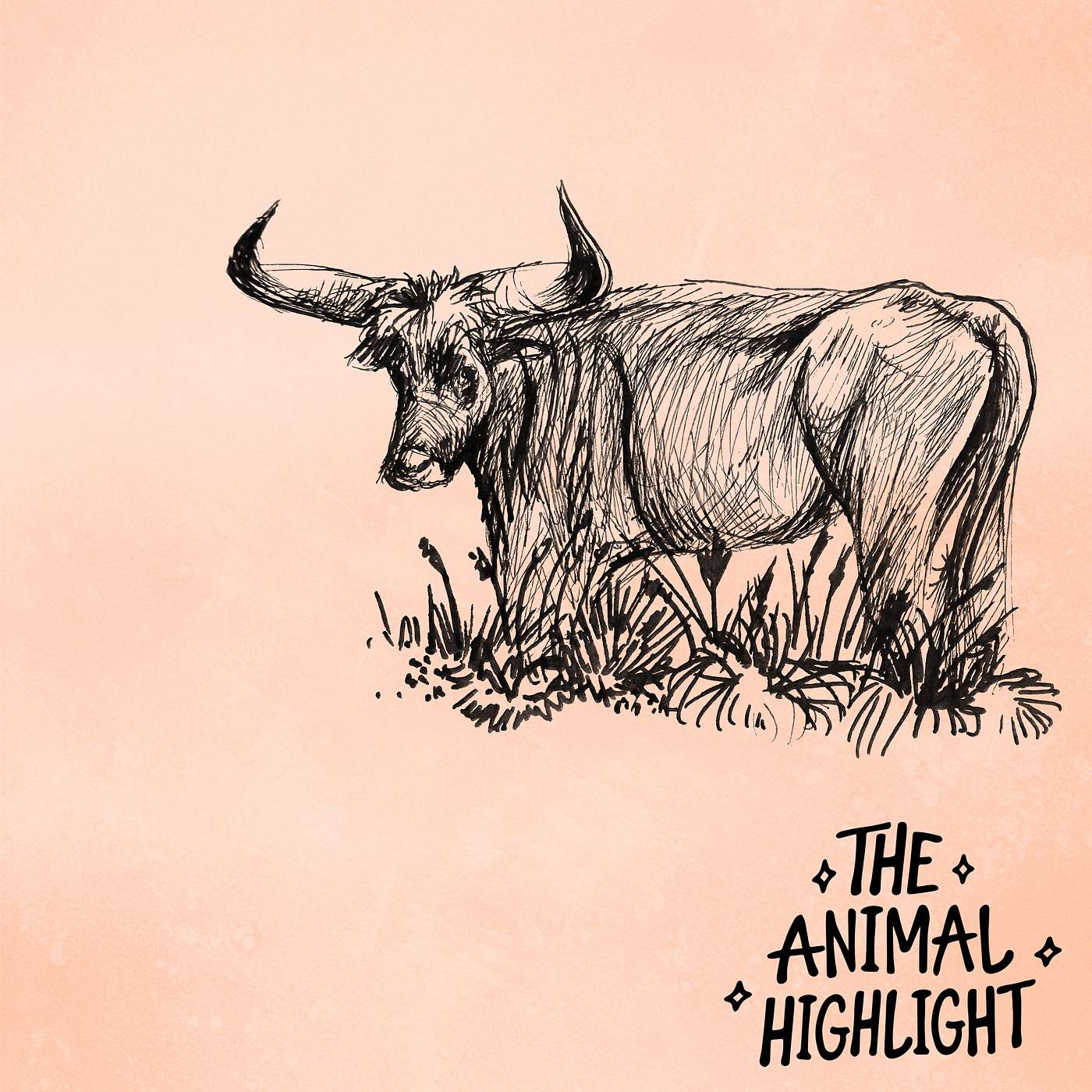 The Animal Highlight