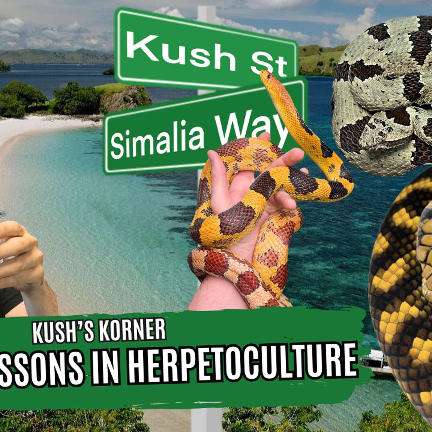 The BIGGEST Mistakes I've Made In Herpetoculture | Kush's Korner Ep.60