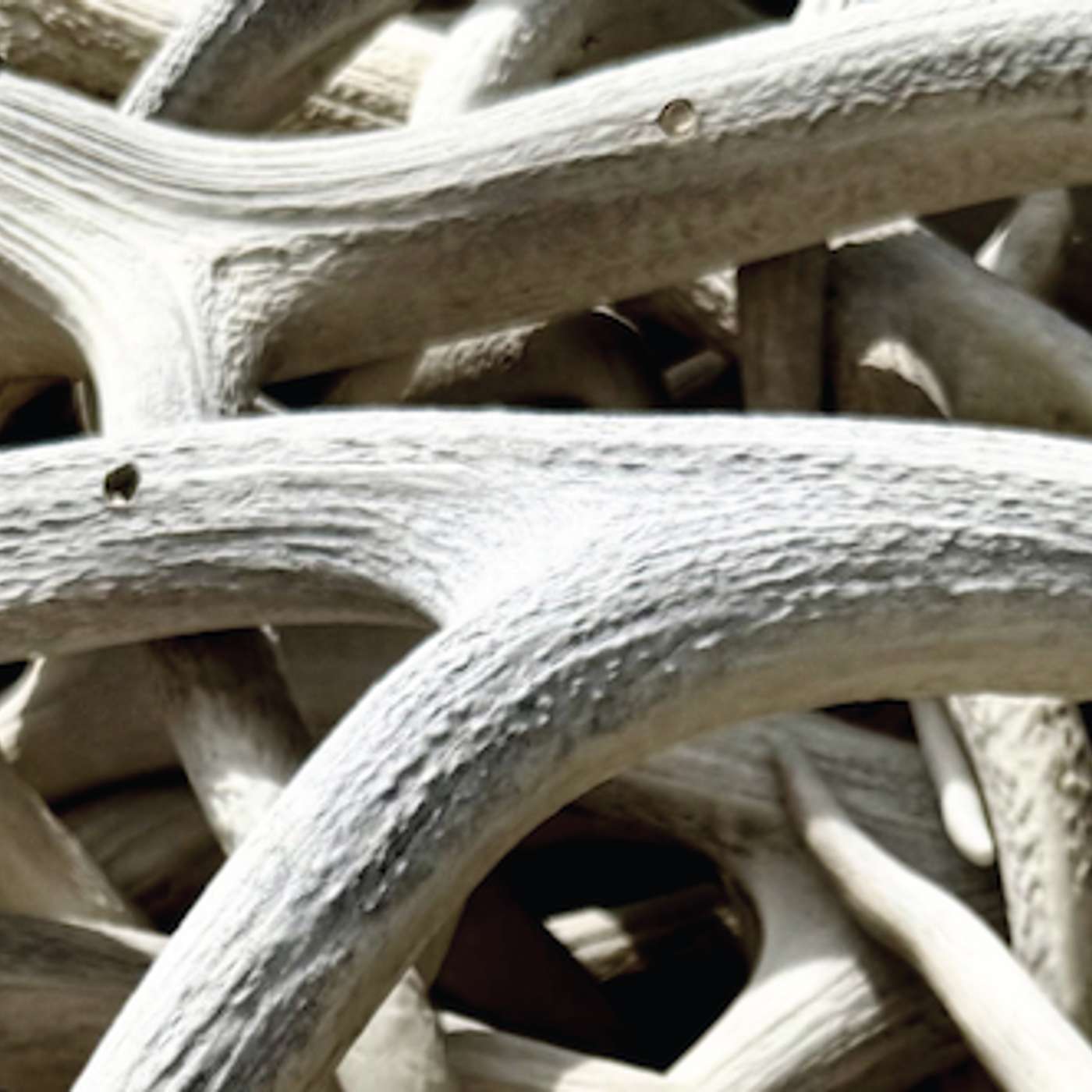 "You will know!" | Rev. Dr. Donovan Drake | 03.22.26