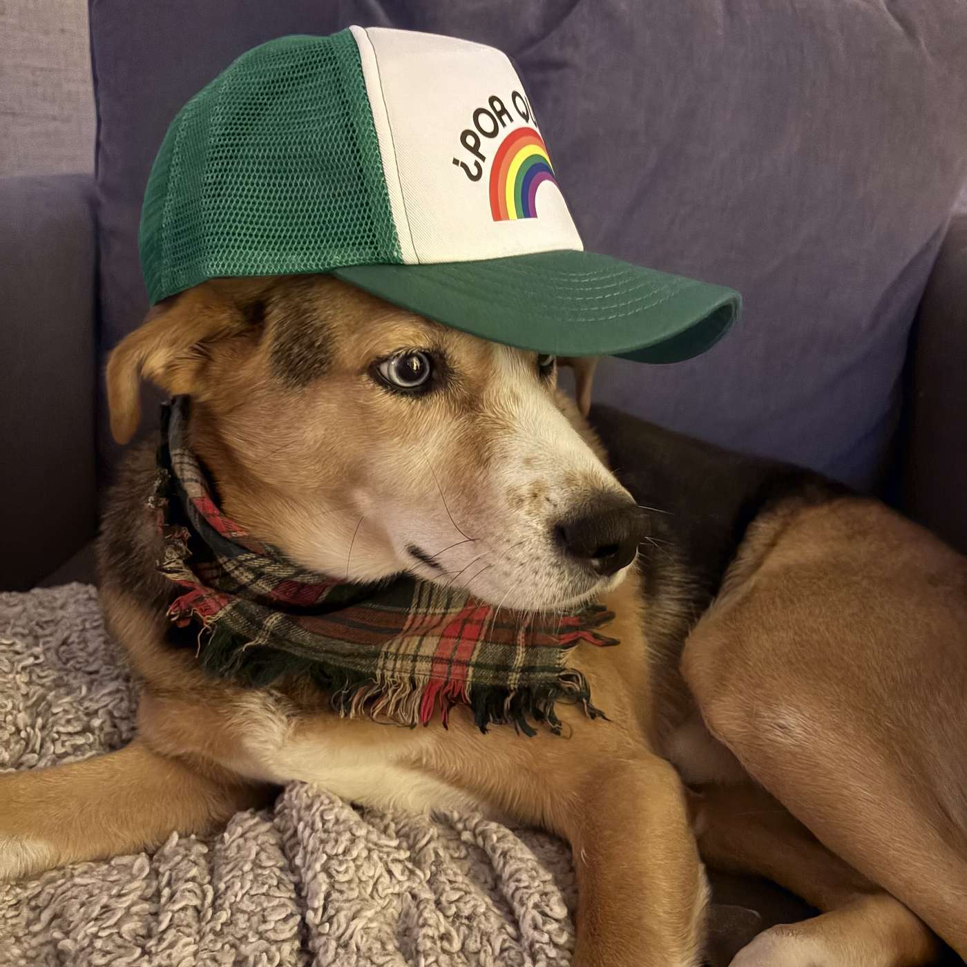 EP 110. Are CDs Still A Thing?