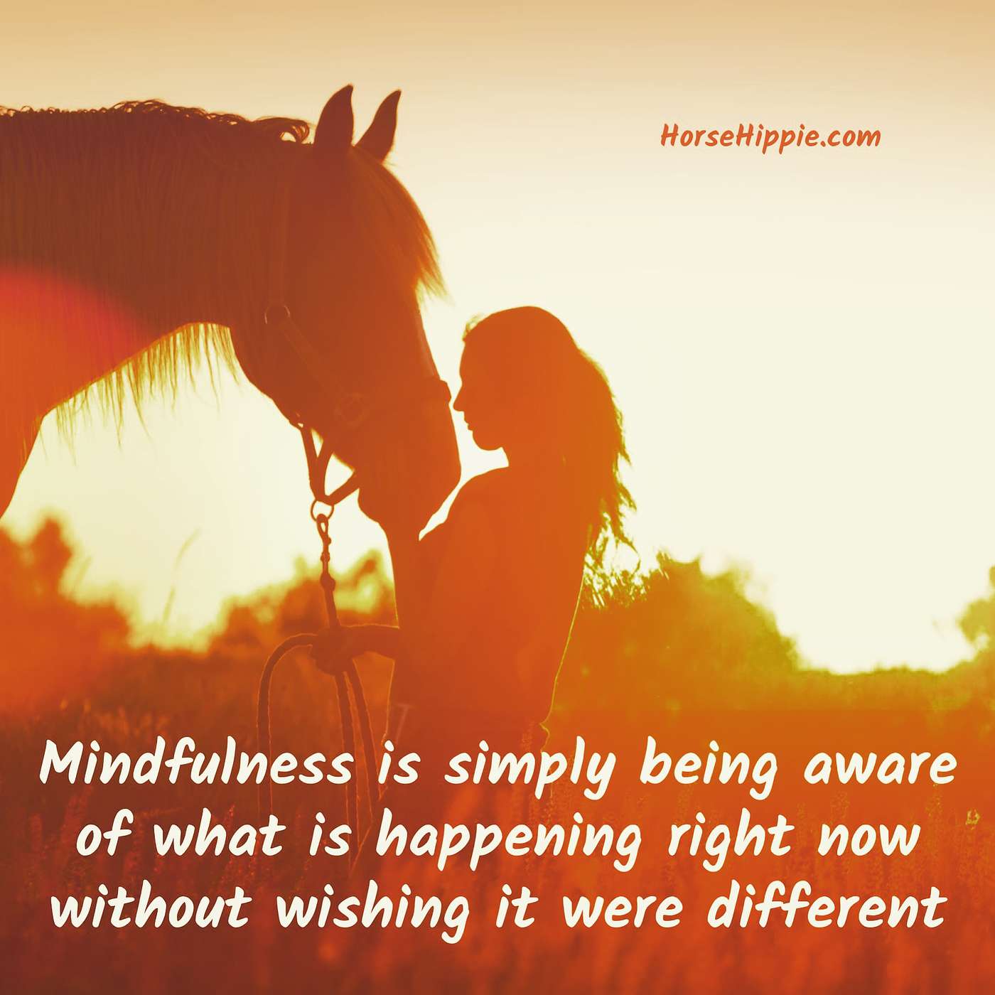Mindfulness episode artwork