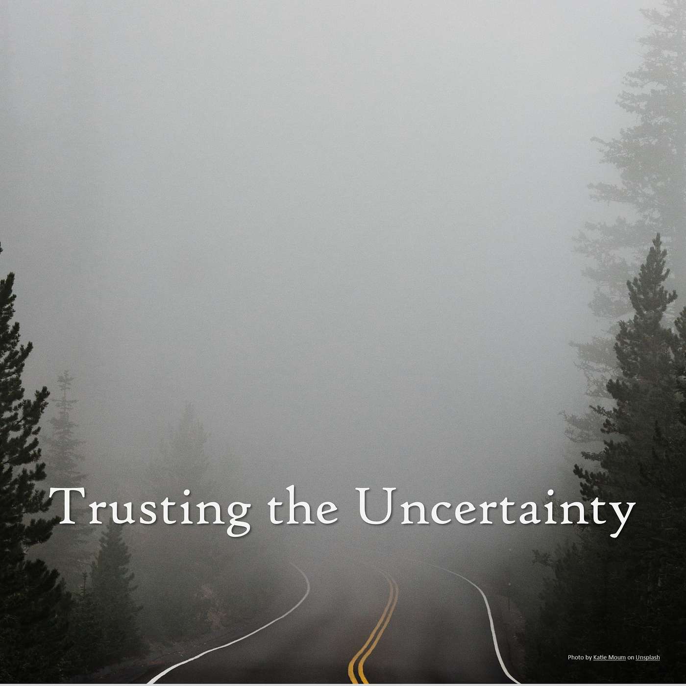 Trusting the Uncertainity