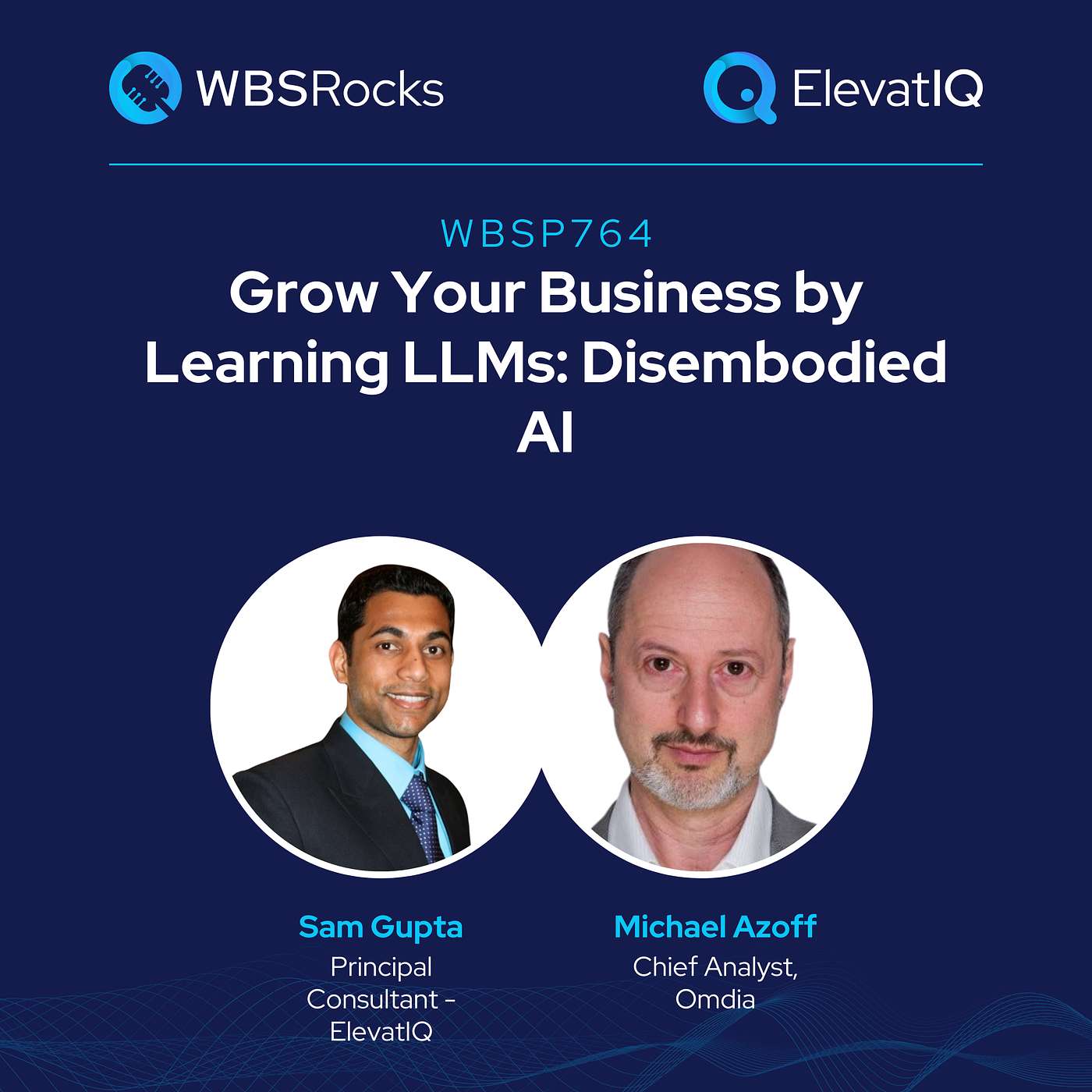 WBSP764: Grow Your Business by Learning LLMs: disembodied AI  w/ Michael Azoff