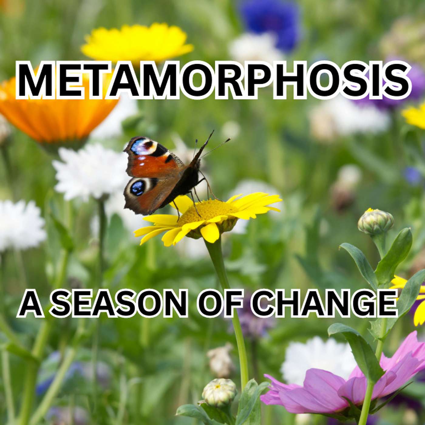 Episode Logo