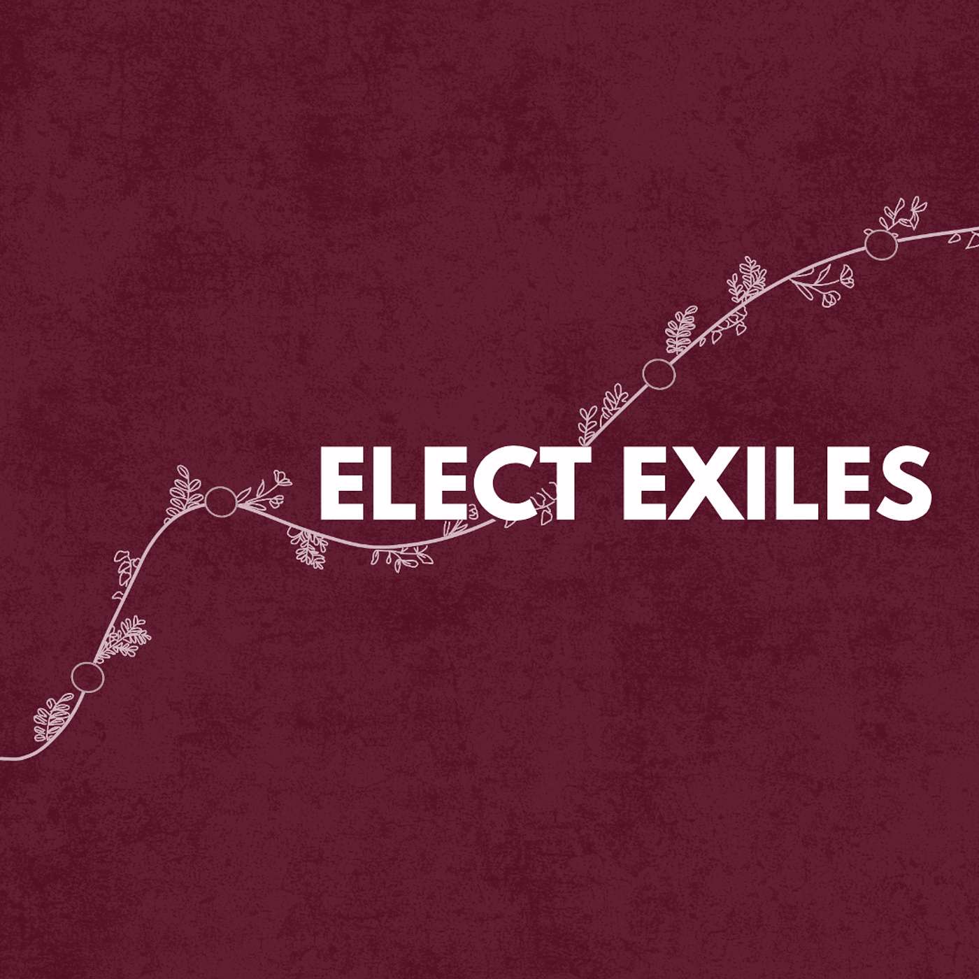 Elect Exiles | 1 Peter 3:1-7