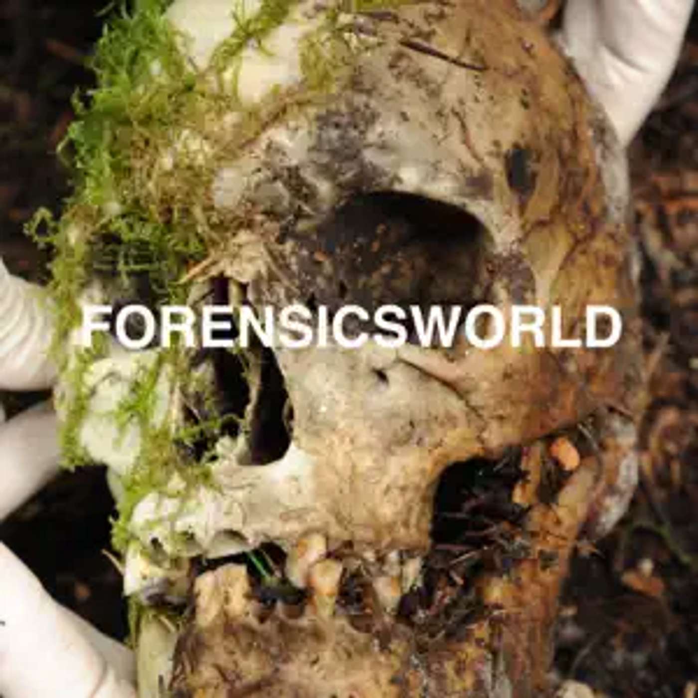 ForensicsWorld Podcast - Will Dodds, CSI