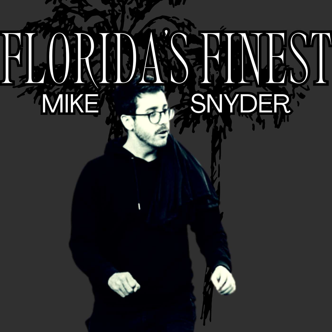 What Pitching A Film is Really Like In Hollywood - Mike Snyder | Florida's Finest EP. 11 episode artwork