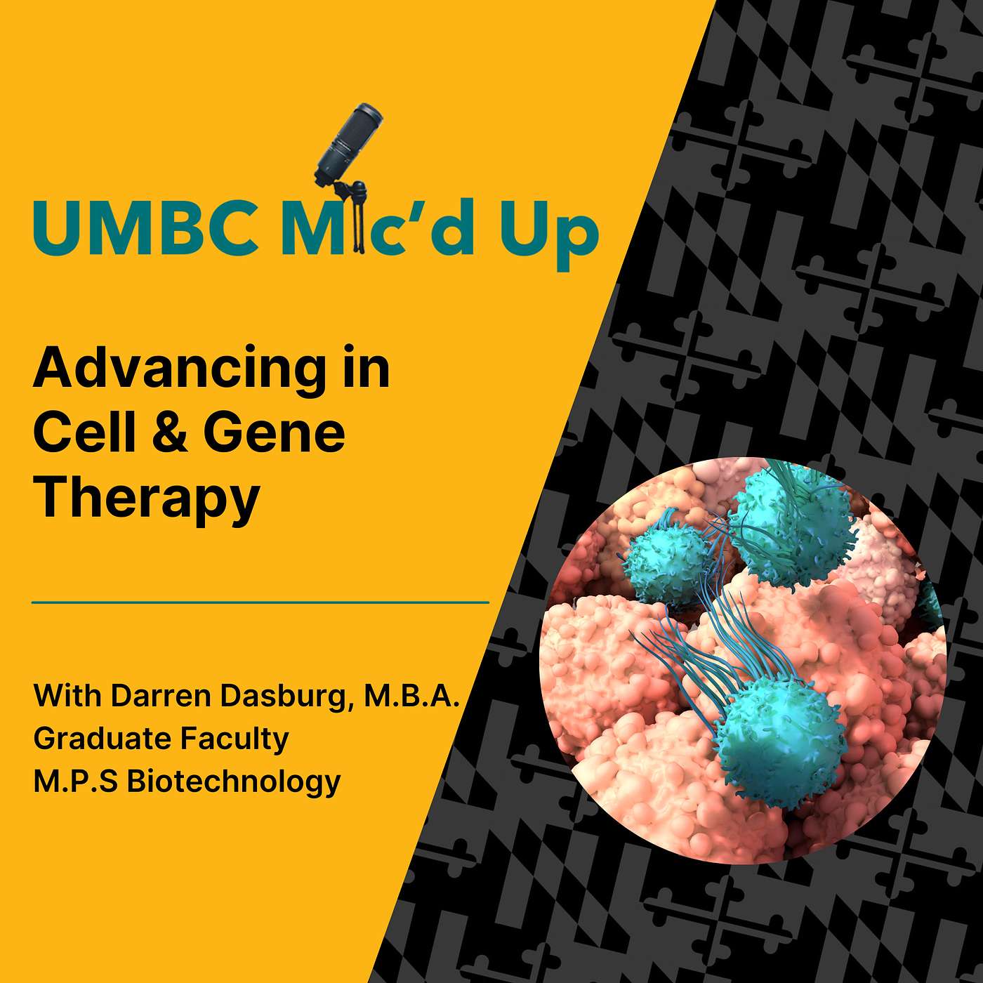 UMBC Mic\'d Up