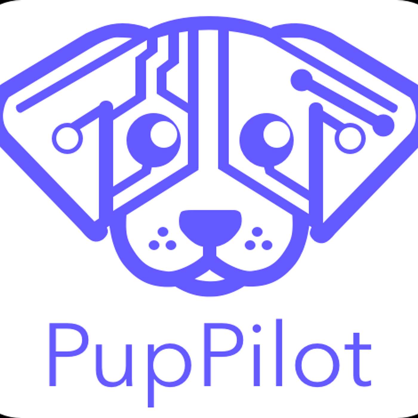 AI Front Office for the Pet Space cover art