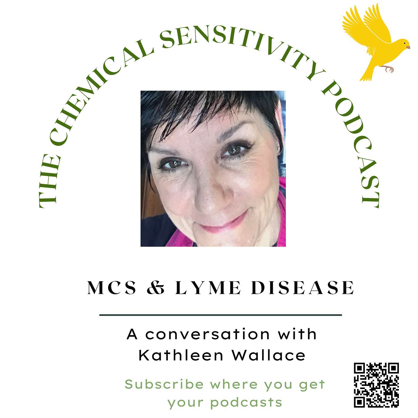 The Chemical Sensitivity Podcast