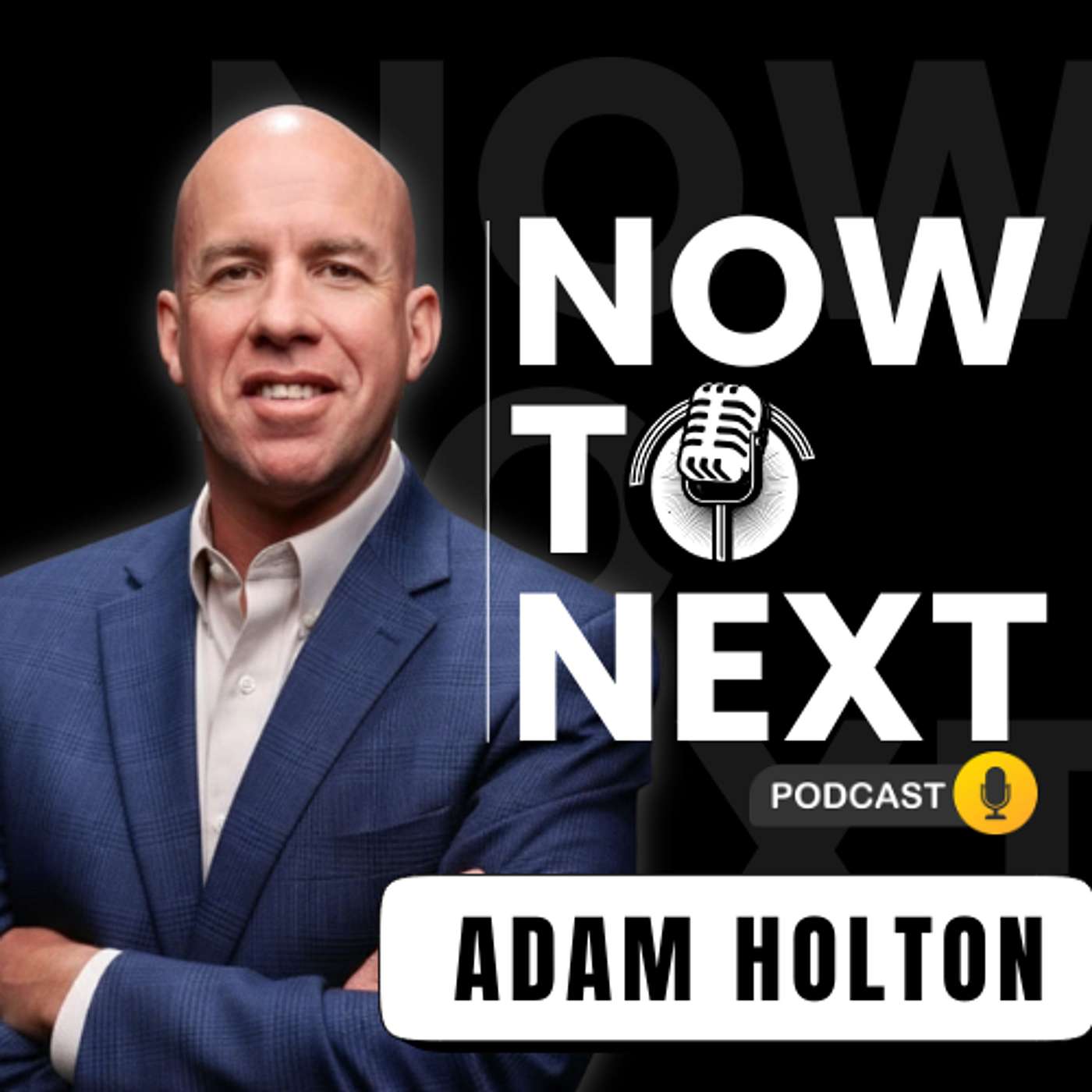 EP10: Inertia and Incrementalism - 2 barriers to an AI mindset with Adam Holton, Chief People Officer of GE HealthCare episode artwork