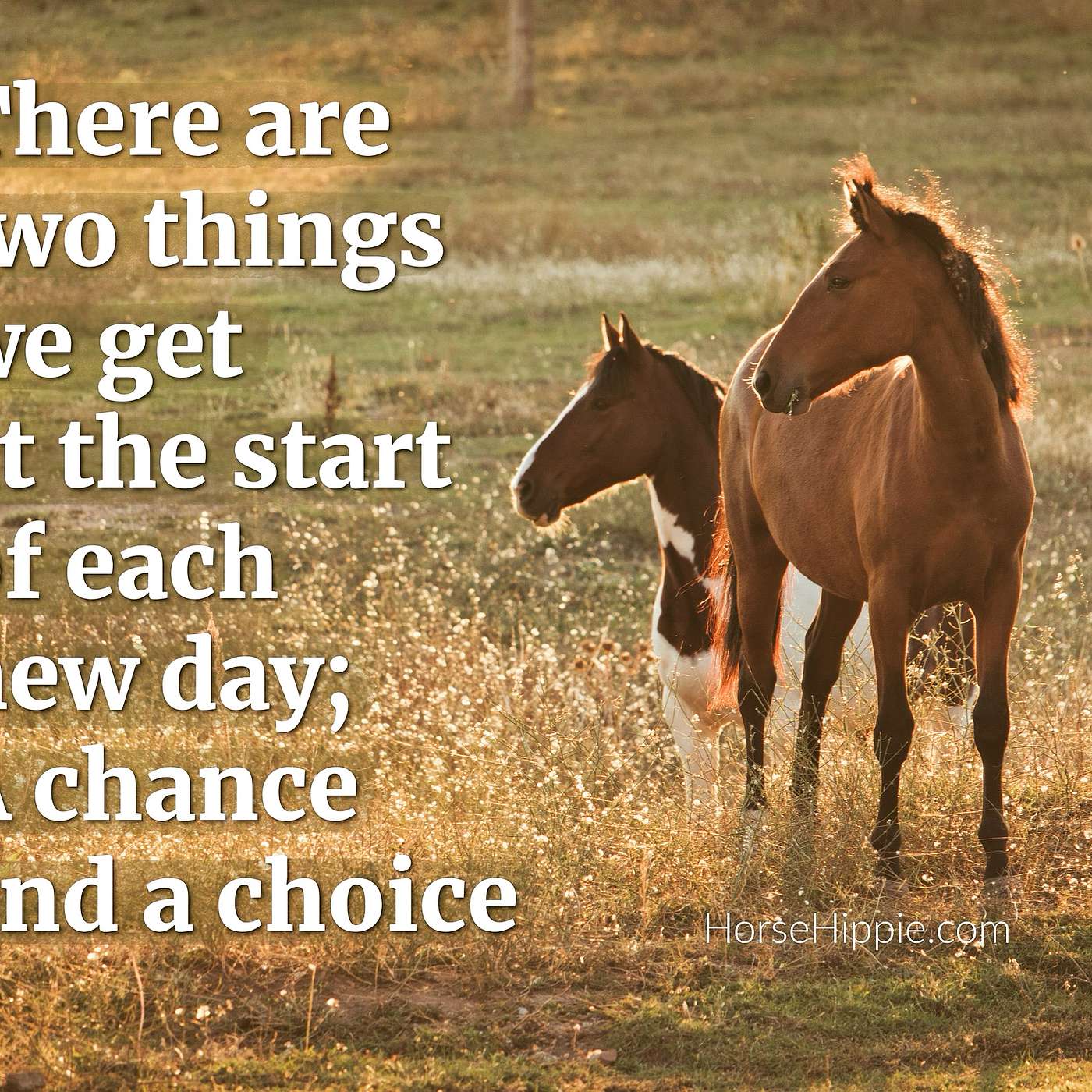 A New Chance and Choice