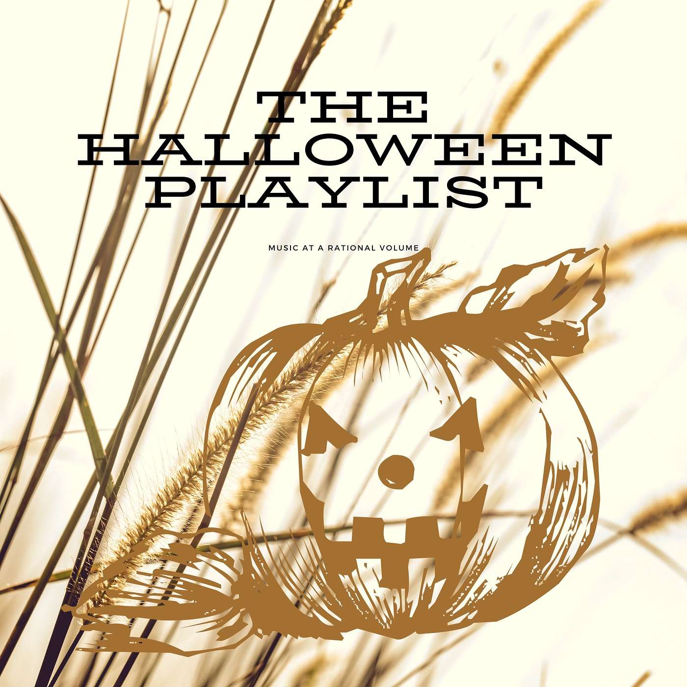 Music at a Rational Volume