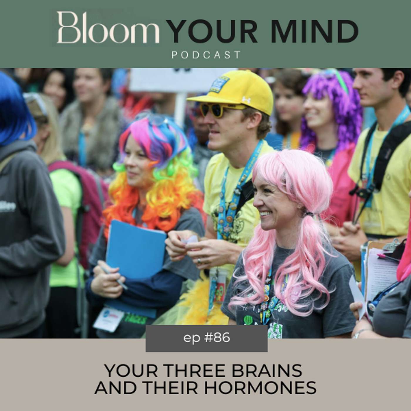 Ep 86: Your Three Brains and Their Hormones