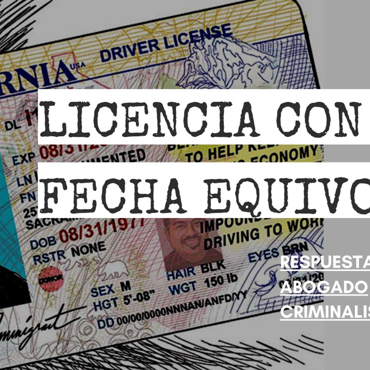 Abogado Criminalista Área de la Bahía