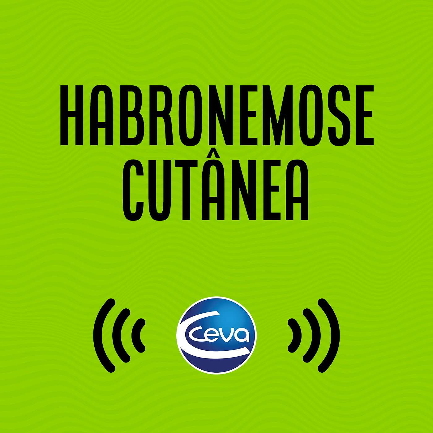 Habronema em equinos #01 O que é a doença e quais seus impactos? episode artwork