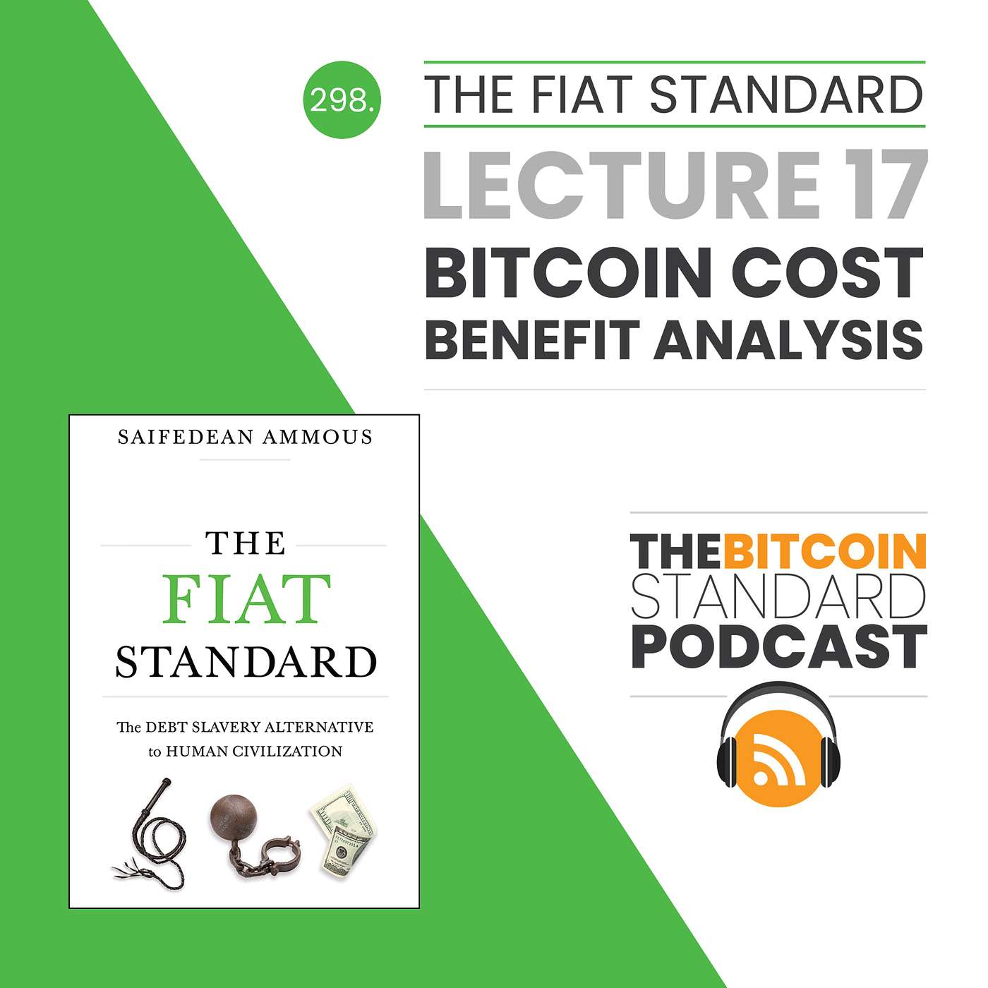 298. The Fiat Standard Lecture 17: Bitcoin Cost-Benefit Analysis