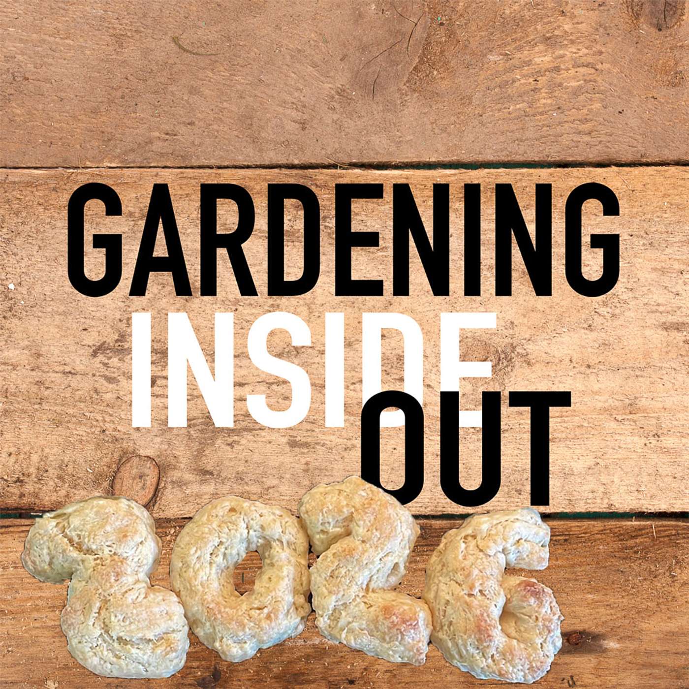 Ep. 127 | Happy New Year!, Roses, Spring bulbs | Jan 3