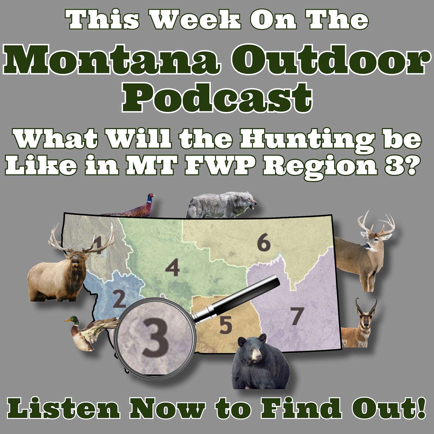 What is the Hunting Like This Year in Southwest Montana, Region 3? This Podcast has the Answers!