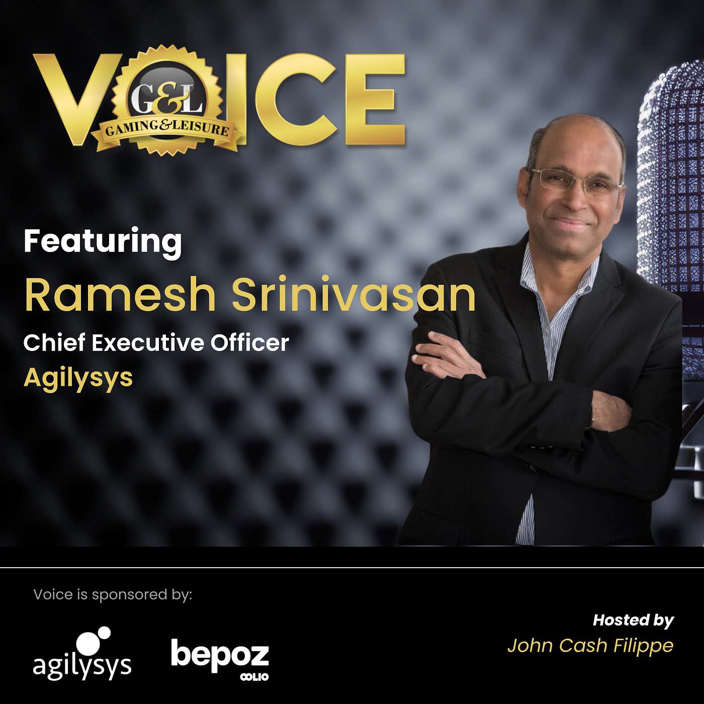 Agilysys Ramesh Srinivasan, Chief Executive Officer