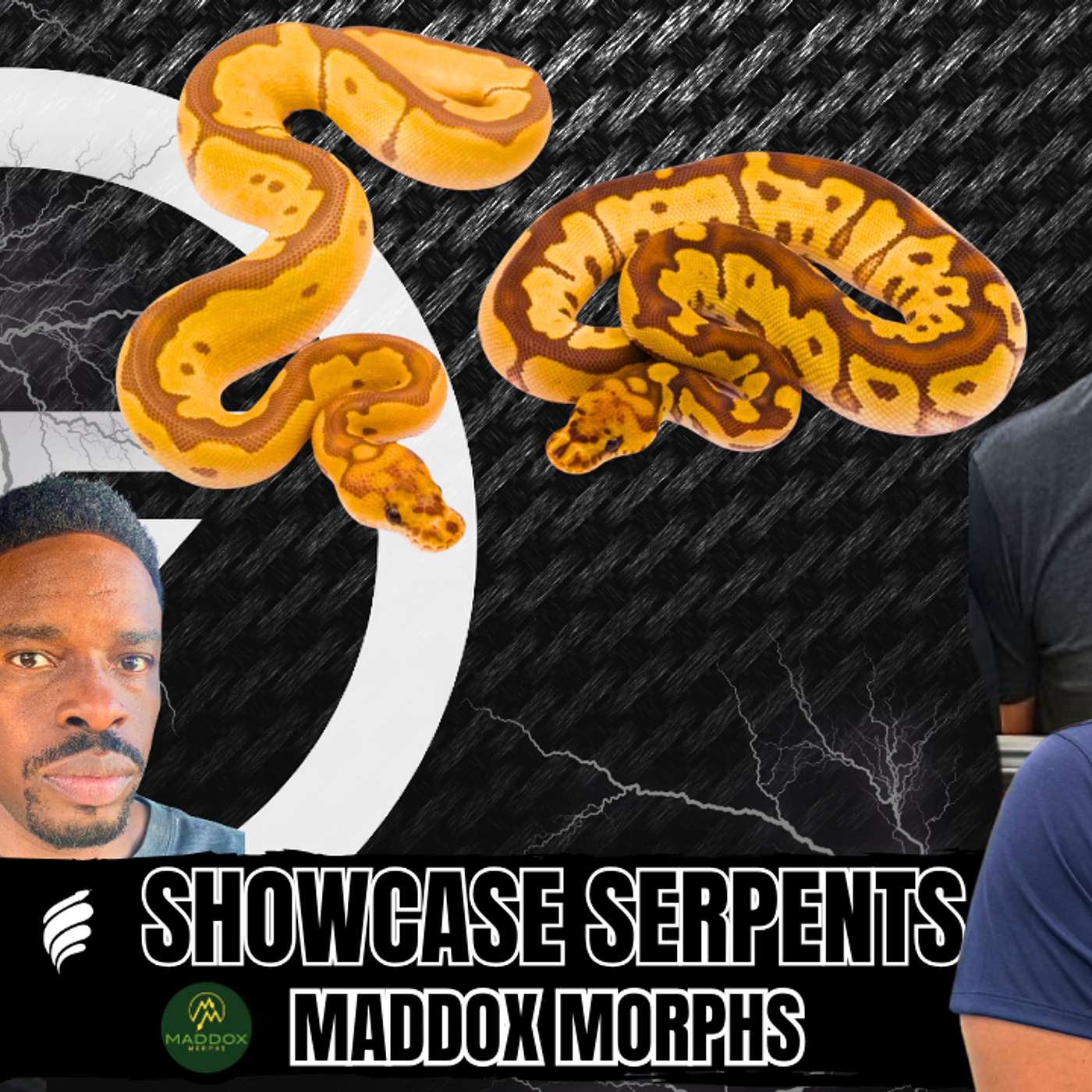 Truth About The Monarch Ball Python Project... Best Morph? | Trap Talk With MJ Live