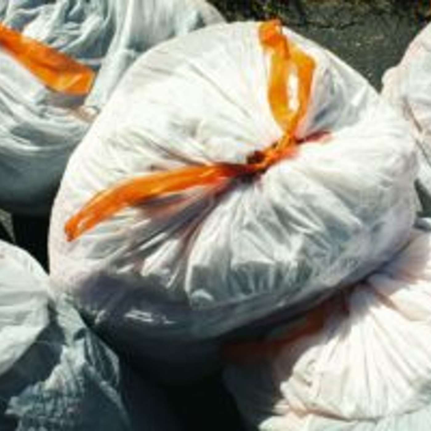 Project of the Year Awarded to Phoenix Solid Waste Division episode artwork