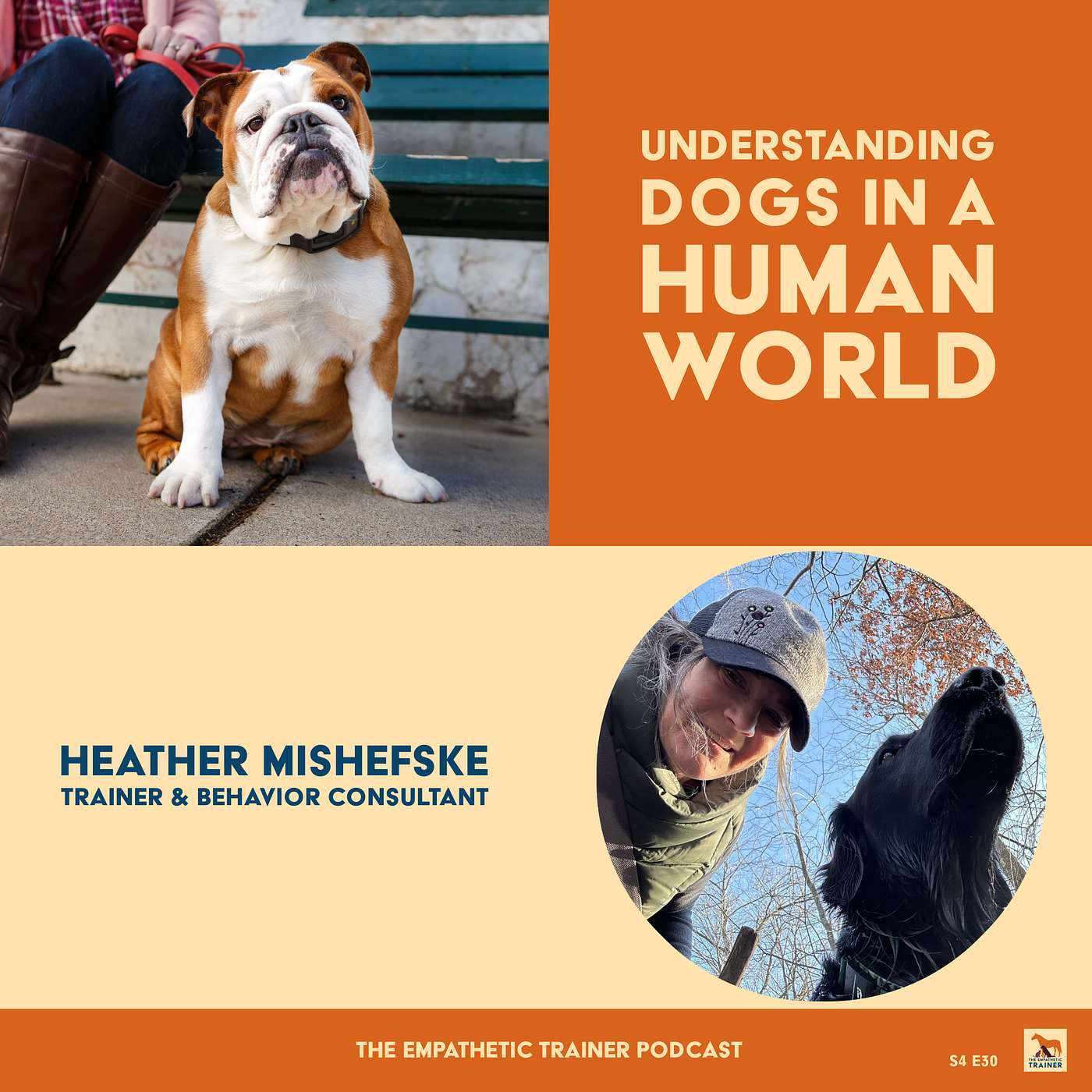 Understanding Dogs in a Human World - Heather Mishefske S4 E 29